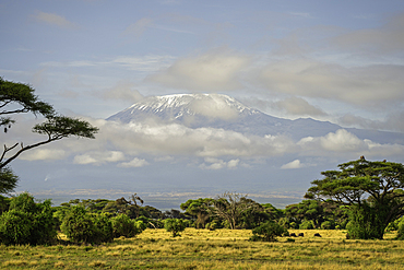 Mount Kilimanjaro from Amboseli National Park, Kenya, East Africa, Africa