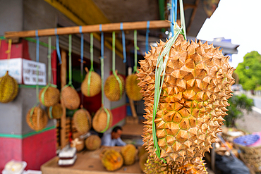 Durian fruit at a local market in West Java, Indonesia, Southeast Asia, Asia