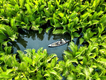 Fisherman fishing in the middle of nipa palm forest, Quang Ngai, Vietnam, Indochina, Southeast Asia, Asia