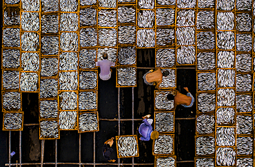 Drying fish in Vung Tau, Vietnam, Indochina, Southeast Asia, Asia