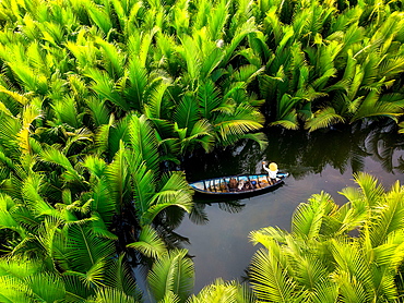 Fisherman fishing in the middle of nipa palm forest, Quang Ngai, Vietnam, Indochina, Southeast Asia, Asia