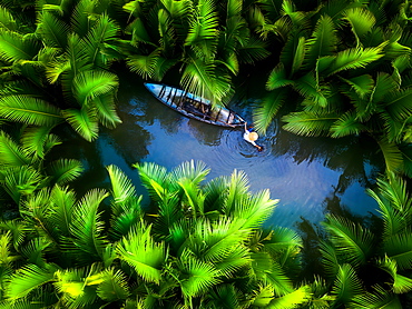 Fisherman fishing in the middle of nipa palm forest, Quang Ngai, Vietnam, Indochina, Southeast Asia, Asia