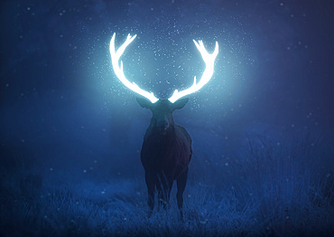 A mystical red deer stag stands his ground.