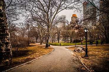 Snow starting in Central Park, New York, United States of America, North America