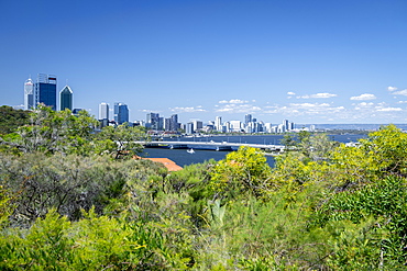 View of the City of Perth from Kings Park, Perth, Western Australia, Australia, Pacific