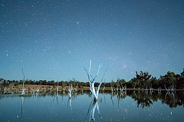 Swamp under the night sky, Towerrining, Western Australia, Australia, Pacific