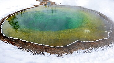 Morning Glory pool hot spring in the snow, Yellowstone National Park, UNESCO World Heritage Site, Wyoming, United States of America, North America