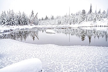 Snowscape reflected in pond, Grand Teton National Park, Wyoming, United States of America, North America