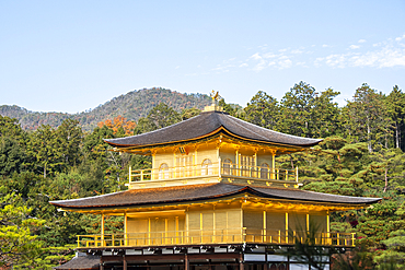 Kinkaku-ji temple of the Golden Pavilion in Kyoto, UNESCO World Heritage Site, Kyoto, Honshu, Japan, Asia