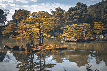 Autumn colored trees over a pond in a Japanese temple garden, Kyoto, Honshu, Japan, Asia