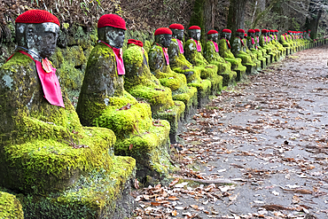 Narabi Jizo Buddha statues with red hat covered with Moss in Nikko, Tochigi, Honshu, Japan, Asia