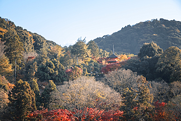 Kiyomizu-dera Buddhist Temple garden and Koyasunoto Pagoda in autumn, UNESCO World Heritage Site, Kyoto, Honshu, Japan, Asia