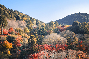 Kiyomizu-dera Buddhist Temple garden and Koyasunoto Pagoda in autumn, UNESCO World Heritage Site, Kyoto, Honshu, Japan, Asia