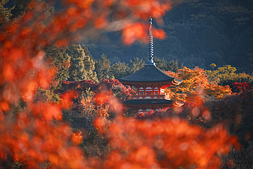 Kiyomizu-dera Koyasunoto Pagoda framed by autumn colored trees, UNESCO World Heritage Site, Kyoto, Honshu, Japan, Asia