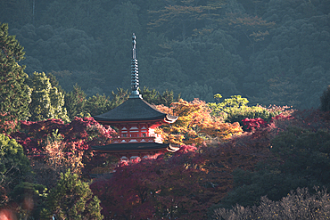 Kiyomizu-dera Koyasunoto Pagoda framed by autumn colored trees, UNESCO World Heritage Site, Kyoto, Honshu, Japan, Asia