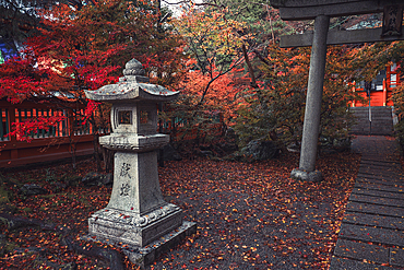 A shrine in Bishamon-do Buddhist temple with autumn colors, Kyoto, Honshu, Japan, Asia