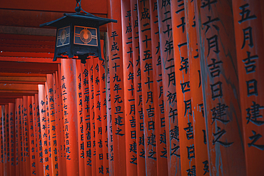 The red Torii Gates at Fushimi Inari Taisha shrine in Kyoto, Honshu, Japan, Asia