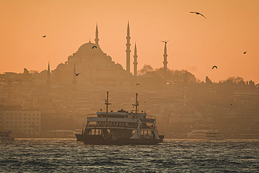 A boat in the Bosphorus and Suleymaniye Camii Mosque, Istanbul, Turkey, Europe