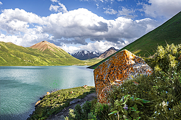 Kol Ukok Mountain Lake surrounded by green mountains under a blue sky, Kyrgyzstan, Central Asia, Asia