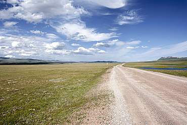 A dirt road meanders through a vibrant green field in Son Kol Lake (Songkol), surrounded by distant snow-capped mountains, Kyrgyzstan, Central Asia, Asia