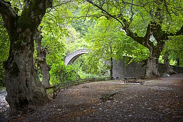 Ancient bridge and trees, Thessaly, Greece, Europe