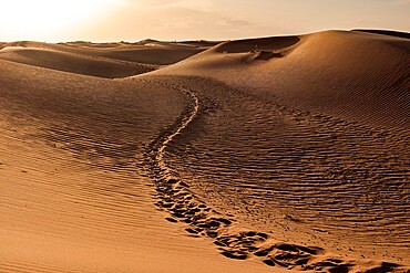 Footsteps trail path between the sand dunes of Sahara Desert, Merzouga, Morocco, North Africa, Africa