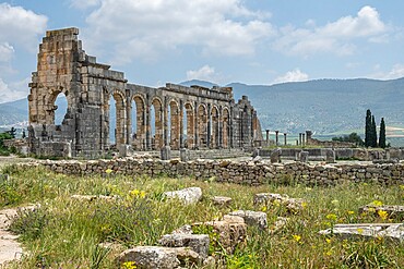 Historical site of ancient Roman ruins of Volubilis, UNESCO World Heritage Site, Morocco, North Africa, Africa