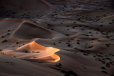 Sand dunes at sunset in the Rub al Khali desert, Oman, Middle East