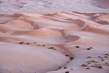 Sand dunes detail before dawn in the Rub al Khali desert, Oman, Middle East