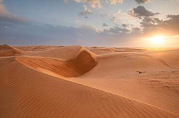 Sand dunes at sunset in the Wahiba Sands desert, Oman, Middle East