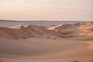 Sand dunes at sunset in the Wahiba Sands desert, Oman, Middle East