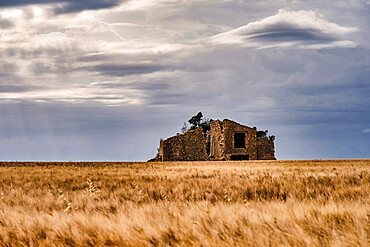 Ruins in a wheat field with cloudy sky, Valensole, Provence, France, Europe