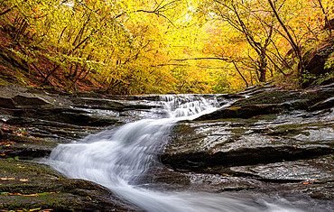 Autumn colors and foliage in a forest with a waterfall flowing between rocks, Emilia Romagna, Italy, Europe