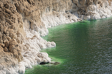 Salt scales out of the emerald water of the Dead Sea, Jordan, Middle East