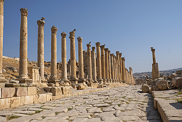 The Roman ruins with a long colonnade road, Jerash, Jordan, Middle East