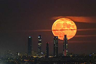 The Blue Moon, full moon at perigee, behind the Cuatro Torres skyscrapers in Madrid, Spain, Europe