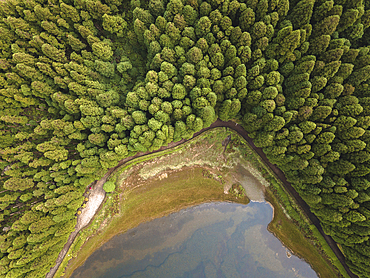 Aerial view of Lagoa Empadadas lake and some pine trees, Sao Miguel island, Azores islands, Portugal, Atlantic, Europe