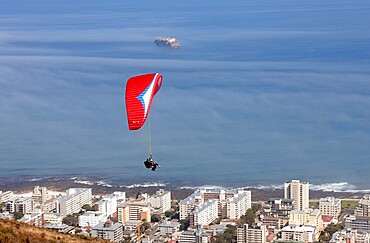 Paragliding over Sea Point, Cape Town, Western Cape, South Africa, Africa