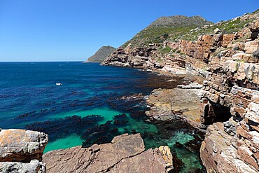 Cape Point Nature Reserve, False Bay, Western Cape, South Africa, Africa