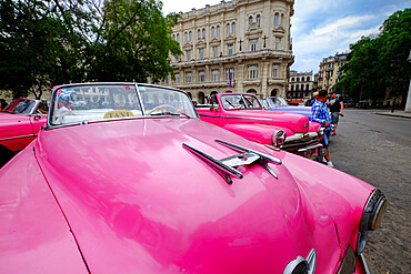 Vintage cars as taxis lined up awaiting fares, Havana, Cuba, West Indies, Central America