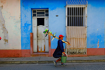 A working man carrying his supplies to the job, Trinidad, Sancti Spiritus, Cuba, West Indies, Central America