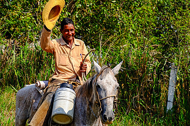 A cowboy on a mule waves his straw hat, Arimao, Cuba, West Indies, Central America