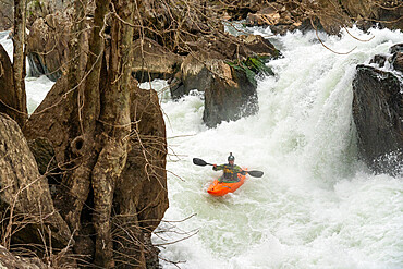 A whitewater kayaker runs the drop known as Bitch Monkey on the Great Falls of the Potomac River, Maryland, United States of America, North America