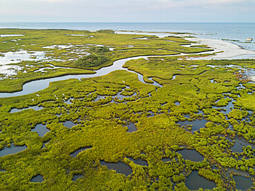 Chesapeake Bay saltmarsh and winding creeks of the Plumtree National Wildlife Refuge, Hampton, Virginia, United States of America, North America