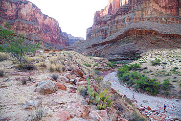 Hikers head up a dry gulch in a side canyon off the Grand Canyon, Arizona, United States of America, North America