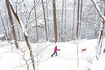 Jennifer Jordan and dog Jack cross country ski the Berma Road near Potomac, Maryland, United States of America, North America