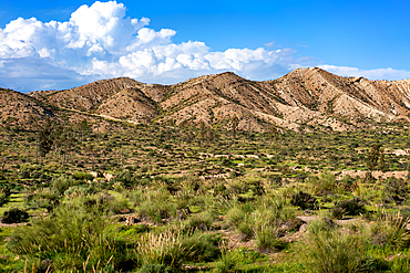 Tabernas desert landscape on a sunny day, Almeria, Andalusia, Spain, Europe