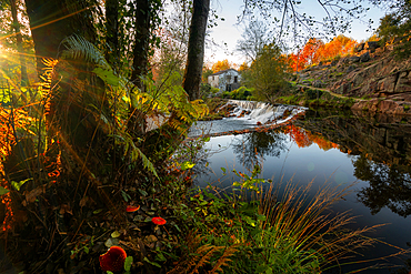 Natural landscape with red mushrooms with waterfall and water reflection at sunset in Mondim de Basto, Norte, Portugal, Europe