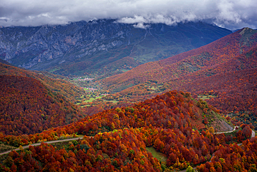 Road crossing beautiful colorful autumn tree landscape in Picos de Europa National Park, Leon, Spain, Europe