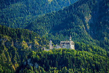 Neuschwanstein historic fairytale castle on the mountain with trees all around, Schwangau, Bavaria, Germany, Europe